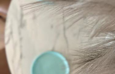 Dream view 9km away from Kalamata - Foto 10