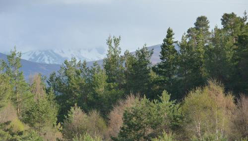 Tanleys - Skye Pod - Foto 4