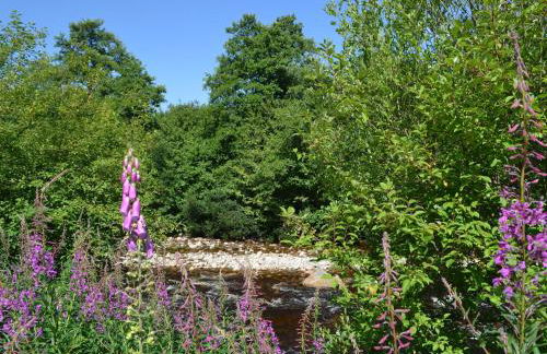 Battanropie Lodge - Foto 18