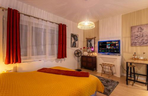 Love ZEN Centre ville Spa & Table massage &Parking - Foto 2