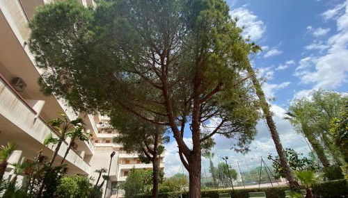 Trilocale sul mare - Foto 4