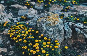 CAN ROMY APPARTEMENT T2F À 20m de la plage de Cala Montgo - Foto 45