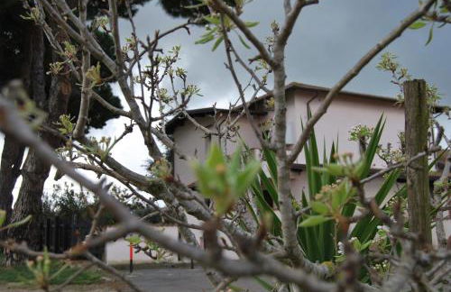 Agriturismo Torre Cristina - Foto 20