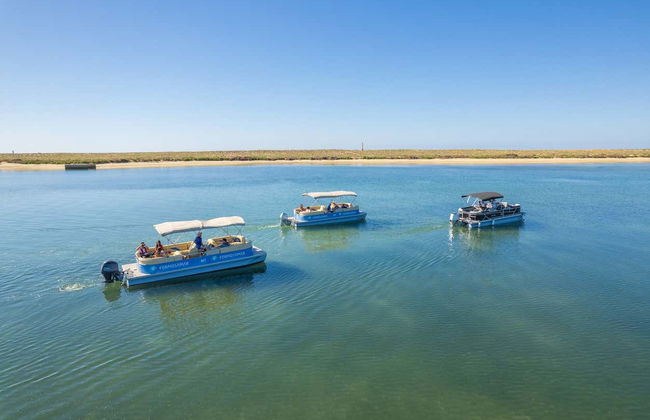 Deserta and Farol Islands Cruise - Photo 7