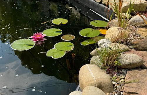 Ferienhaus Merl - Foto 25