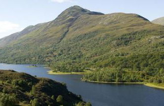 Tower Ridge Apartments - Photo 50