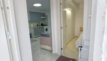 evaxila papaflessa - Foto 2