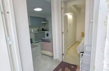 evaxila papaflessa - Foto 2