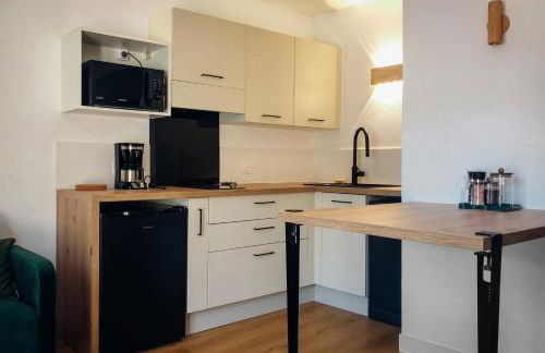 Cano'Py, charmant 2 pièces avec vue montagne en cœur de ville - Foto 7