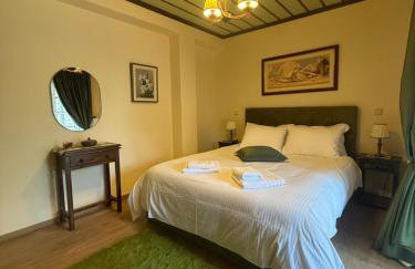 Petrini Armonia, Vitsa Zagori - Foto 15