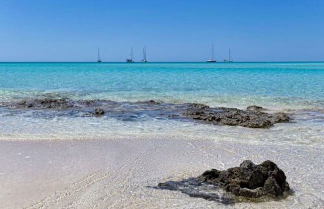 Orange Creek Inn - Foto 35