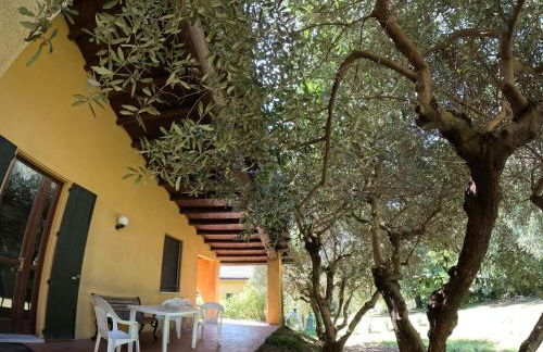 Agriturismo Gardenali - Foto 61