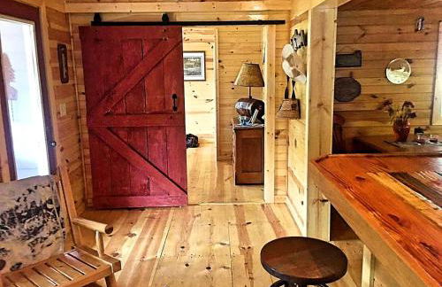 Cozy Cabin in the Blue Ridge Mountains, Perfect for a Weekend Escape from Atlanta - Foto 6