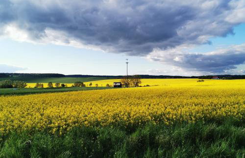 Ośrodek VolfCamp Kwaszenina - Foto 12