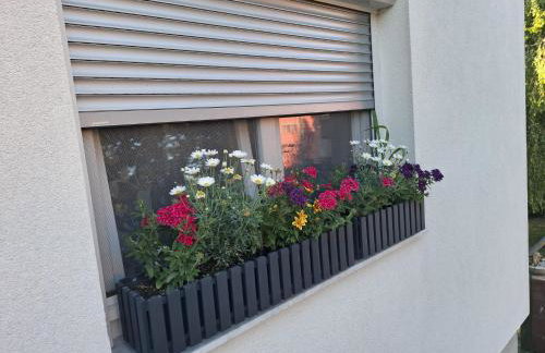 Studio apartman Marta - Foto 6