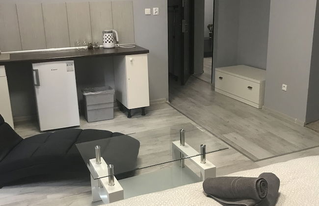 Studio Apartament Centrum Katowice - Foto 43