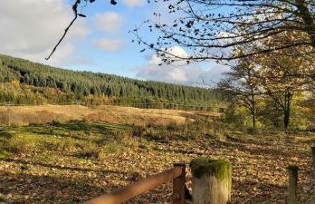 Courtyard Cottage - Foto 19