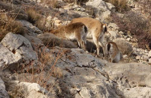 Apartamento Las Eras - Foto 36