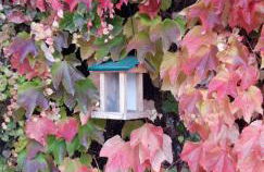 Ferienwohnung Storchennest - Foto 39