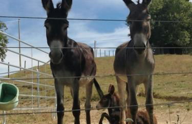 Casa Ambrogi Stefano - Photo 61