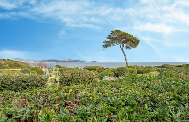 Les Louvans - Foto 32