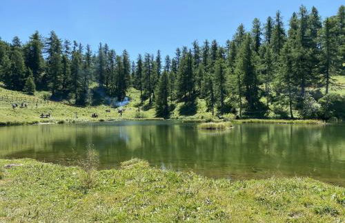 Clotes modern apartment, 50m from slopes - sleeps 6-8, 2 bath - SauzeHoliday - Photo 35