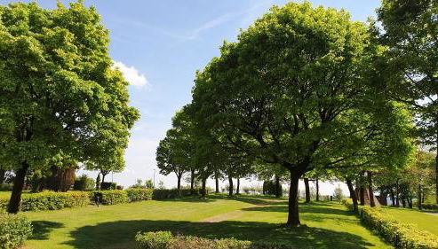 Franz Josefs Ferienhäuser - Foto 4