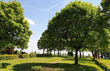 Franz Josefs Ferienhäuser - Foto 4