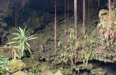 Private wrap around Lani Oasis with ocean view - Foto 23