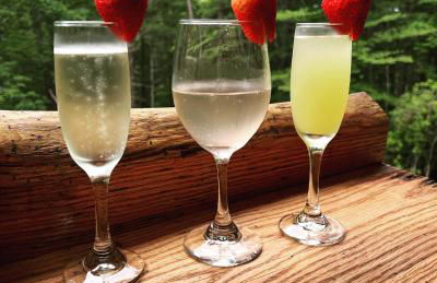 Almost Heaven Mountain Cabin - Foto 11