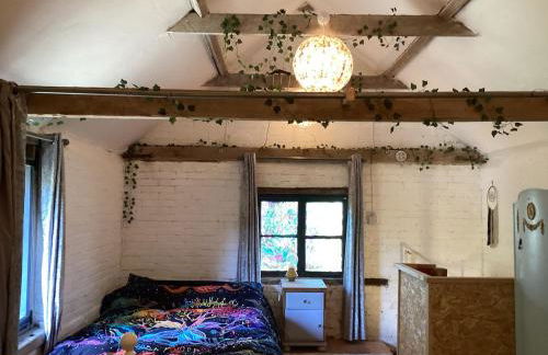 The Eclectic Coach House - Photo 10