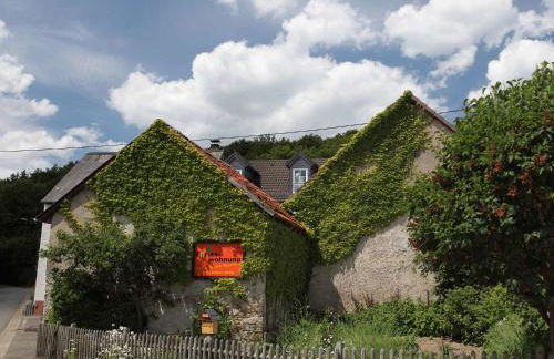 Ferienhof An der Lay - Foto 8