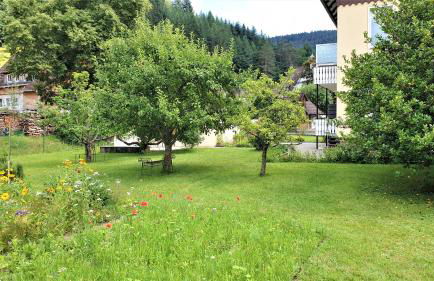 Liebevoll Gästewohnungen - Foto 66