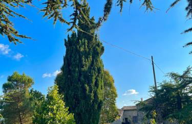 Borgo Petraio - Foto 3