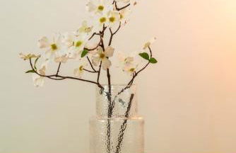 Charm House Sintra 43 - Historic Center Stay - Foto 7