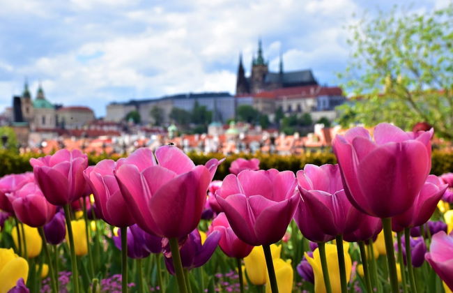 Theatre 9 Apartment by Adrez Living - Foto 22