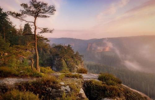 Gutshof 1600 - Foto 9