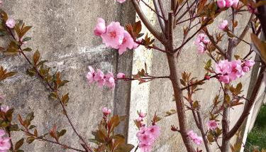 Chemin de traverse Lille Europe - Foto 2