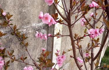 Chemin de traverse Lille Europe - Foto 2