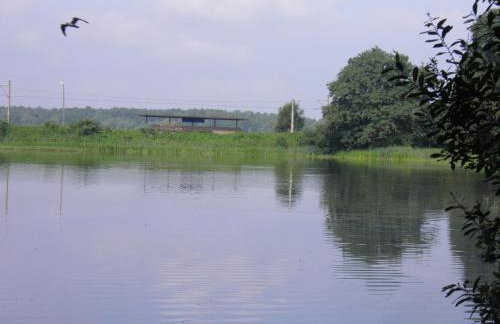 Villa Miriam - Foto 49