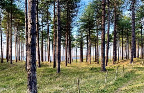 Menai Bridge - Foto 25