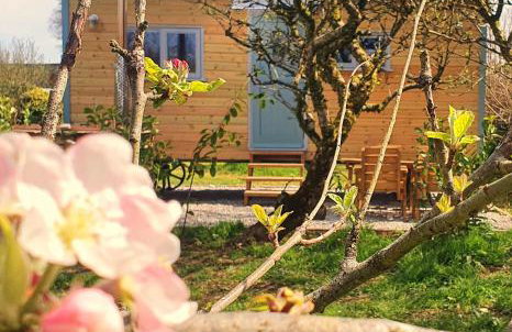 Cornwall Luxury Hot Tub Huts - Foto 15