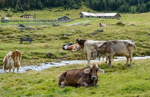 APPARTEMENT 305 - Natur & SPA - Ponyhof & Streichelzoo - #allgäuresidenz - Foto 27