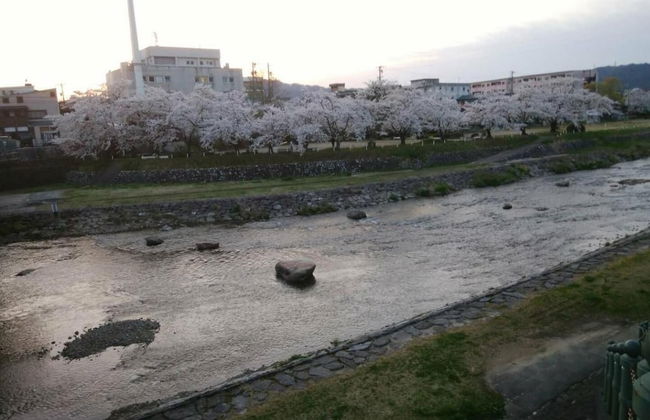 Green House - Foto 15