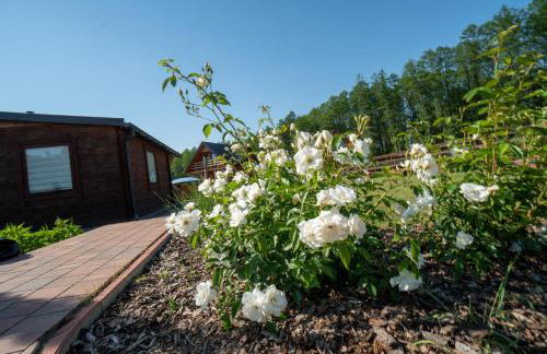 Uroczysko Trzyrzeczki - Photo 23