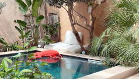 La Maison du Trident en Camargue Piscine et Jacuzzi - Foto 3