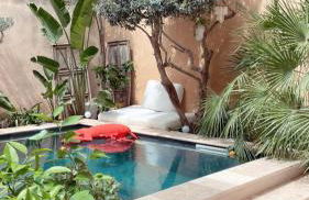 La Maison du Trident en Camargue Piscine et Jacuzzi - Foto 3