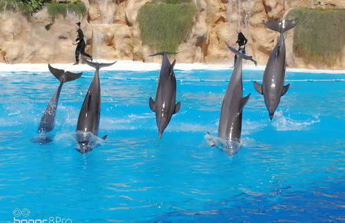 The terrace on the sea - Foto 33