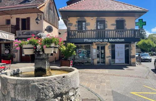 Charmant Appartement Lac d'Annecy / Ski - 6 Pers - Foto 19