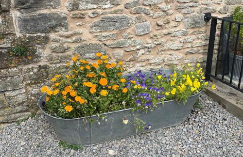 Acorn Cottage - Foto 64